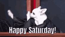 Happy Saturday Dancing GIF - Happy Saturday Dancing Dog GIFs