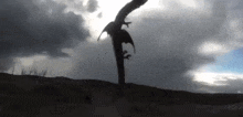 a silhouette of a dragon flying over a mountain .