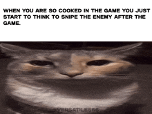 a picture of a cat with the caption when you are so cooked in the game you just start to think to snipe the enemy