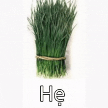 a bunch of green grass is tied together with a string on a white surface .