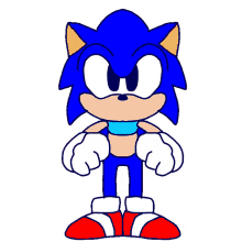 sonic the hedgehog spinning