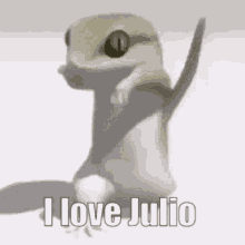 Coin Julio GIF - Coin Julio Julio Lizard Dance GIFs