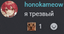 a picture of a girl with red hair and a picture of a dog with the name honokameow