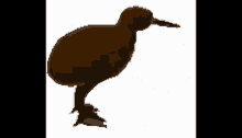 a brown bird with a long beak is standing on its hind legs
