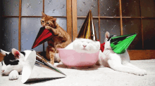 Party Cats GIF