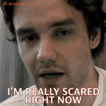 Im Really Scared Right Now Liam Payne GIF - Im Really Scared Right Now Liam Payne Esquire GIFs