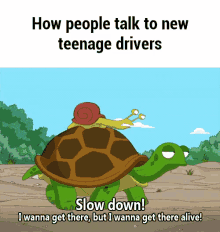 Slow Snail GIF - Slow Snail Turtle GIFs