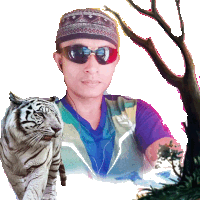 Aron Ngapak Tiger Sticker - Aron Ngapak Tiger Cool Stickers
