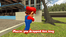 Smg4 Mario GIF - Smg4 Mario You Dropped This King GIFs