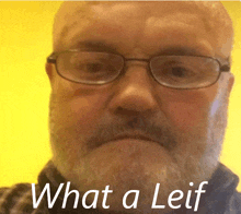 Leif GIF - Leif GIFs