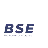 a logo for bse the power of vibrance with a flame in the middle