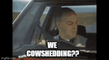 We Cowshedding Car Crash GIF