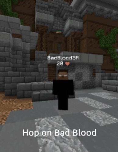 Hypixel copied this from Zombies (Arcade games)