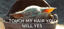 a baby yoda from the mandalorian is sleeping in a bucket and saying `` touch my hair you will yes '' .