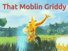 Ageofcalamity Moblin GIF - Ageofcalamity Moblin Griddy GIFs