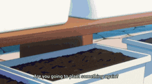 a cartoon says " are you going to plant something again " in front of a planter