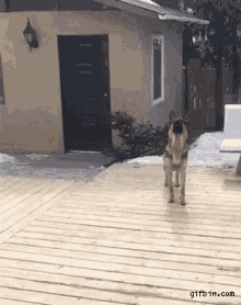 Epicfail Dogs GIF - Epicfail Dogs Jumping GIFs