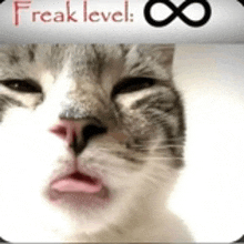 a close up of a cat with the words freak level written on it