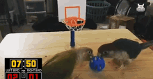 Shoot Score GIF - Shoot Score Basketball GIFs