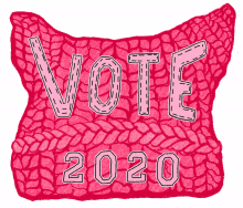 vote vote2020 pussy hat womensmarch feminist