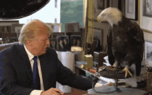 Gotcha GIF - Donald Trump Eagle Pissed GIFs