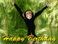 happy birthday happy monkey fun