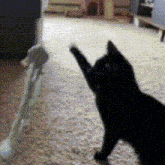 a black cat is playing with a green toy on the floor