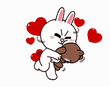 hug bear brown cony love