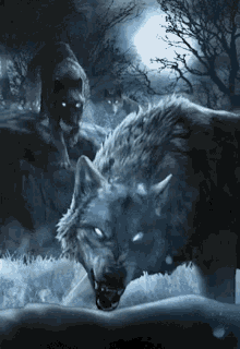 Wolf Night GIF - Wolf Night GIFs