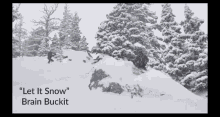 Ski Let It Snow GIF - Ski Let It Snow Brain Buckit GIFs