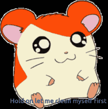 Hamster Cute GIF - Hamster Cute Hold On GIFs