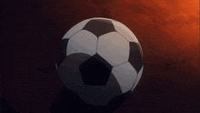 a person with a ring on their finger holds a soccer ball in their hand
