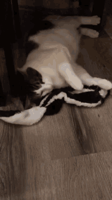 a black and white cat is laying on its back on a wooden floor .