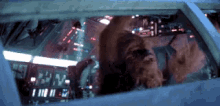 Omg Shocked GIF - Omg Shocked Chewbacca GIFs