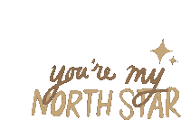 Youre My North Star Maddie And Tae Sticker - Youre My North Star Maddie And Tae Madness Song Stickers