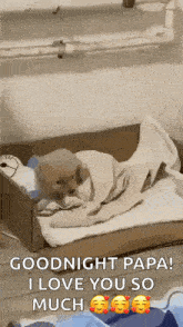 a puppy is wrapped in a blanket and laying in a cardboard box bed .