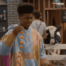 a man is holding a string of carrots in front of a cow in a nick ad
