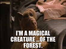 Alf Im A Magical Creature GIF - Alf Im A Magical Creature Of The Forest GIFs
