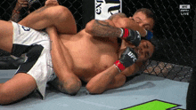 a fighter wearing ufc gloves is being pinned down by his opponent