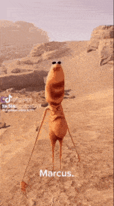 a cartoon character named marcus stands in the desert