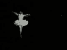 Ballet Graceful GIF