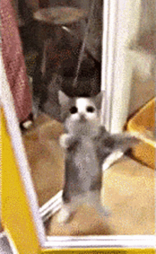 GIF