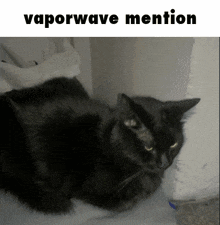 a picture of a black cat with the words vaporwave mention underneath it