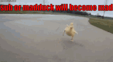 Mad Duck Playz Yt Youtube GIF - Mad Duck Playz Yt Mad Duck Youtube GIFs