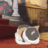 a cat with a collar is laying on the ground