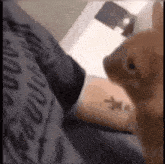 a close up of a dog looking at a person 's arm with a tattoo of a man