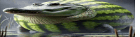 a watermelon shaped like a crocodile is swimming in the water