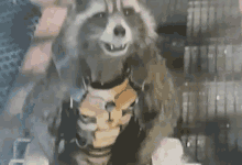 Raccoon Hysterical GIF - Raccoon Hysterical Laughter GIFs