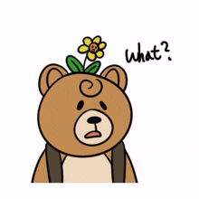 bear animal teddy curious shockd bear animal teddy curious shockd