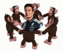 a man in a mercedes racing suit is surrounded by monkeys